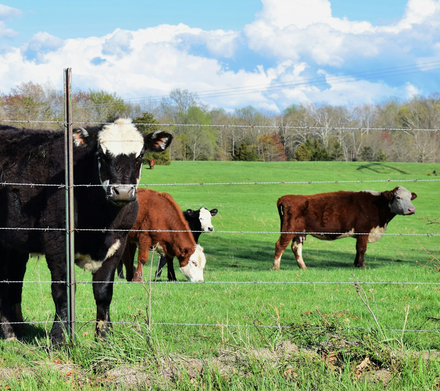 11a89c3cf45fba0dc82ca83479099ed46aaa5fd5 - Jayne Hyduk Group