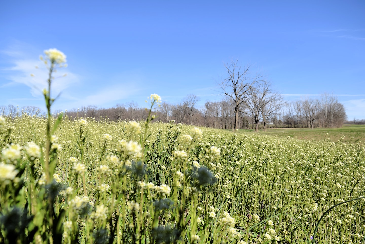 14fe9129e74cb2d2a117e62233344677c5cbada5 - Jayne Hyduk Group