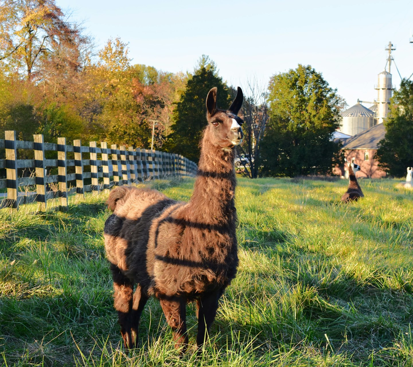 1f40f6891322f124113e59742e766039cf5abcd2 - Jayne Hyduk Group