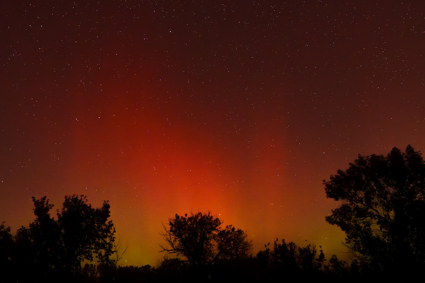 5b2b313c1a66d8f8f3b8d1a7114980f3a0b81b98 - Jayne Hyduk Group