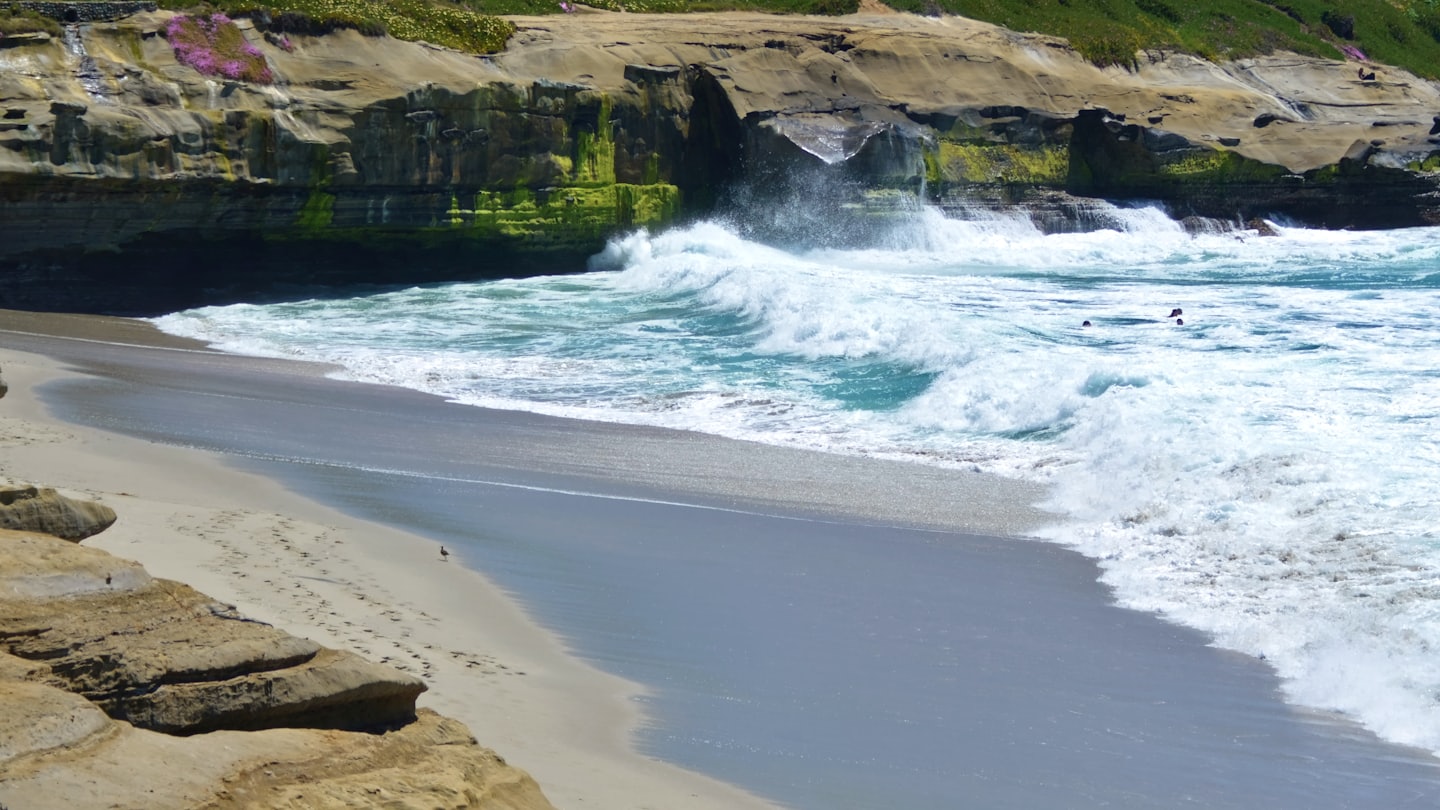 61b0c122090ee1737f29fe64ab16743ecbdf3dbd - Jayne Hyduk Group