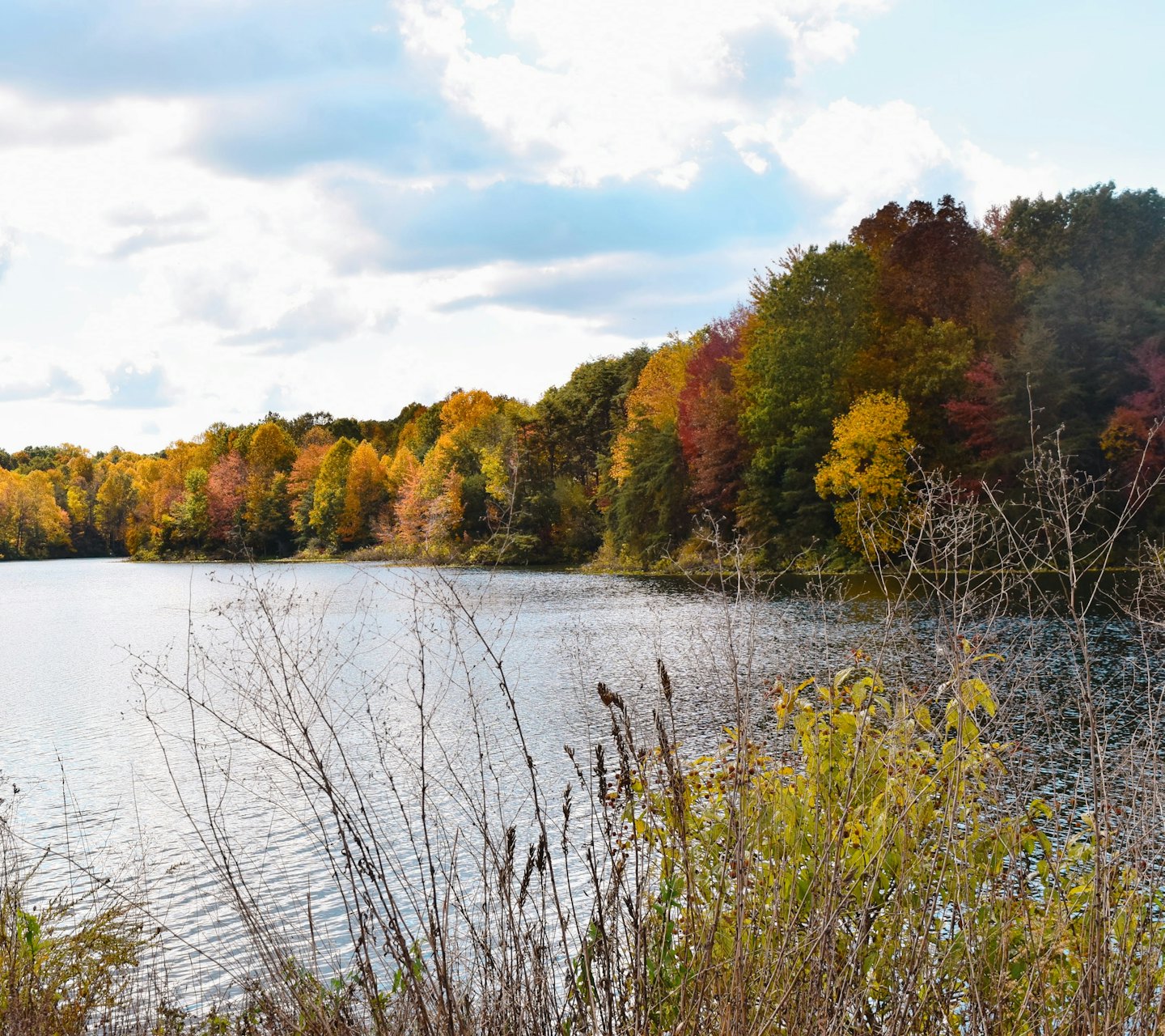 a38d84f33314c3023a959d020b6dfd5161b5bb3f - Jayne Hyduk Group