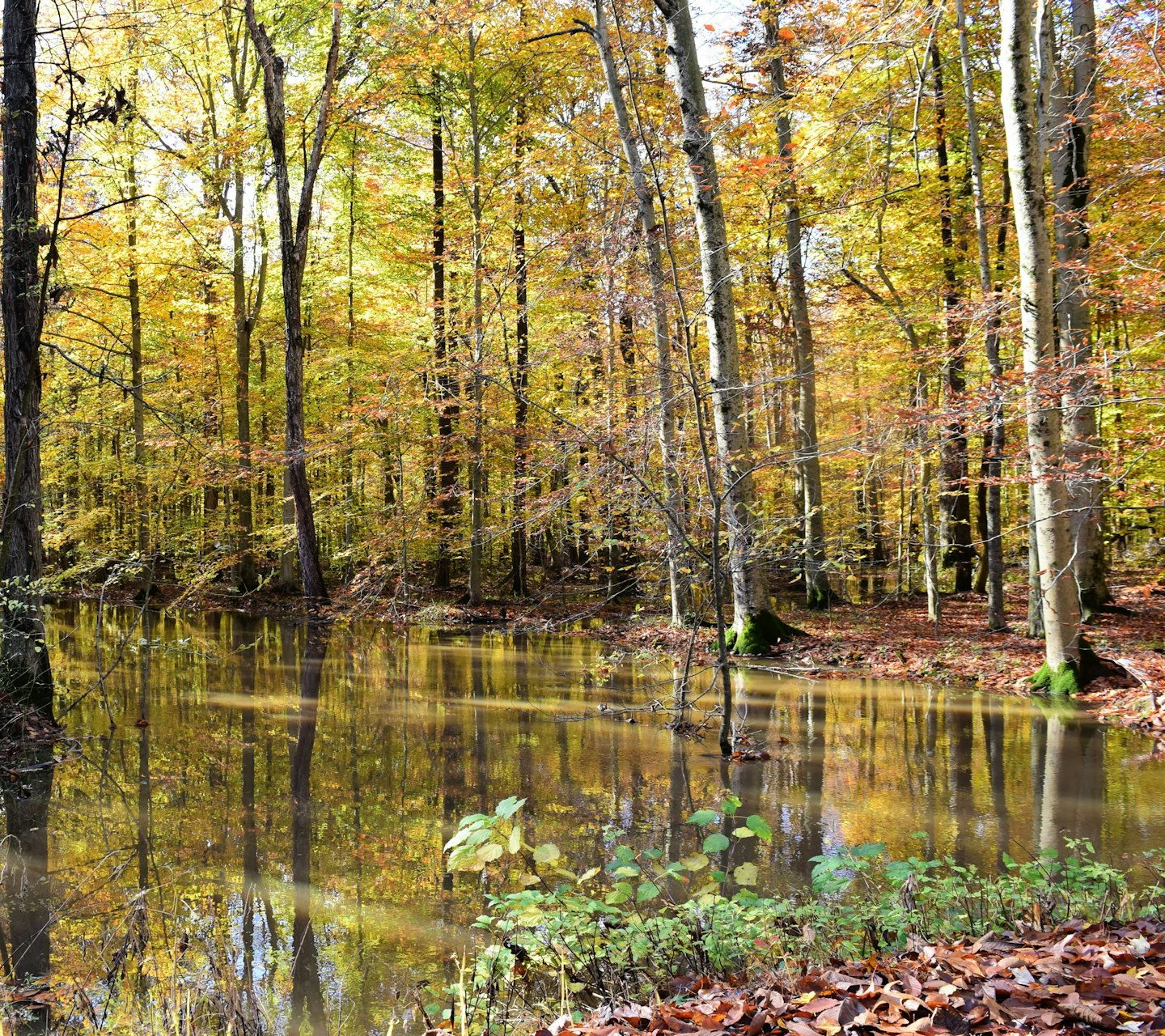 ab8c88da3c92c0bb379336dc155007b434390bff - Jayne Hyduk Group