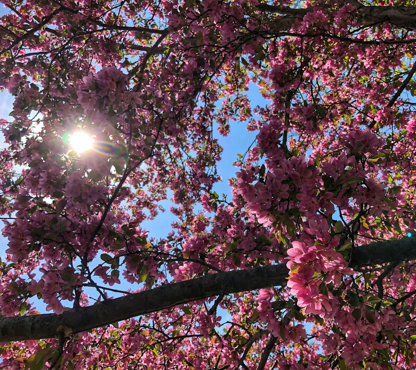 bce8d079363c1405f31193f8c2e087bf27a2894e - Jayne Hyduk Group