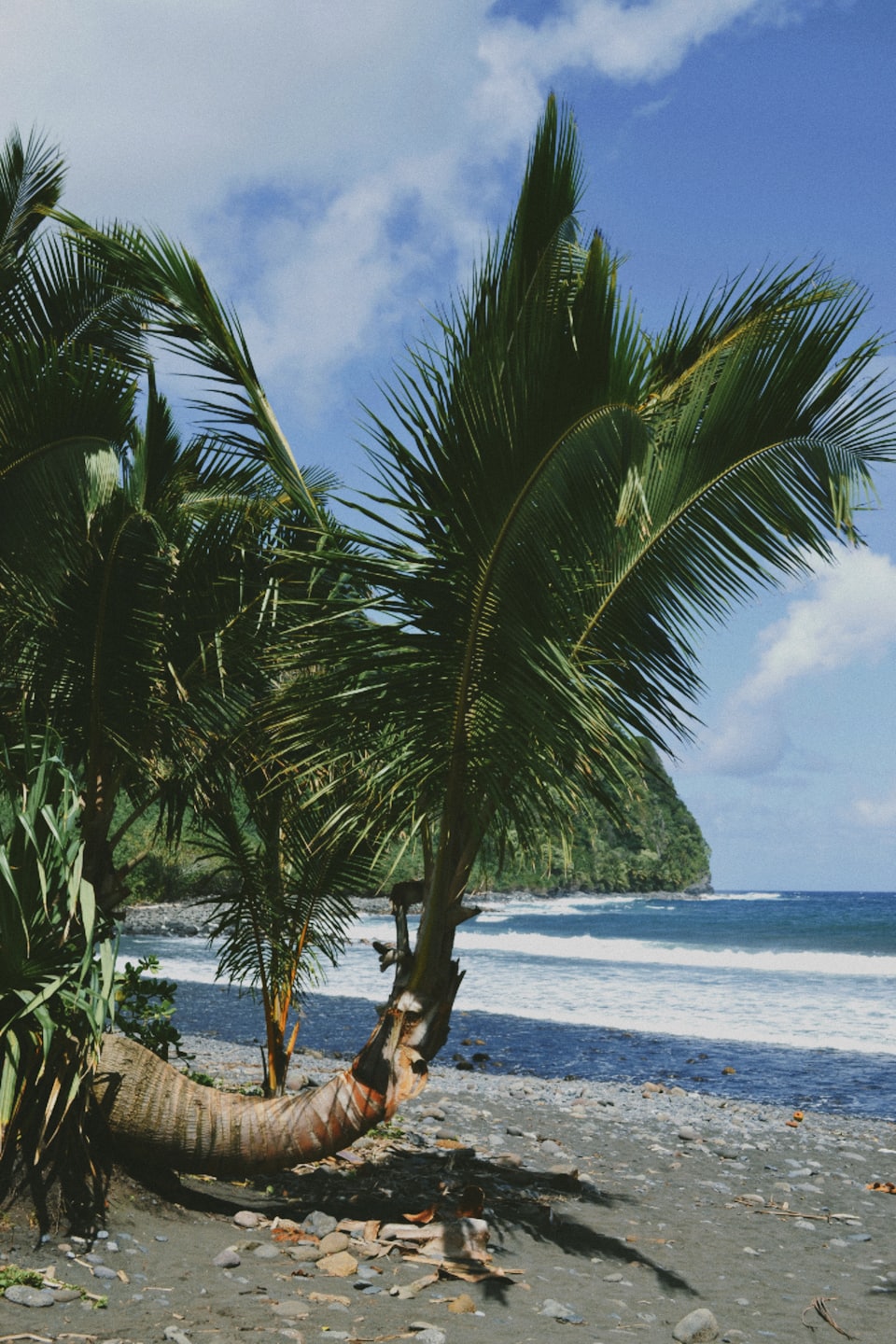 ca379ec5766a7eaf5b02c3a0b3671a7fec80572e - Jayne Hyduk Group