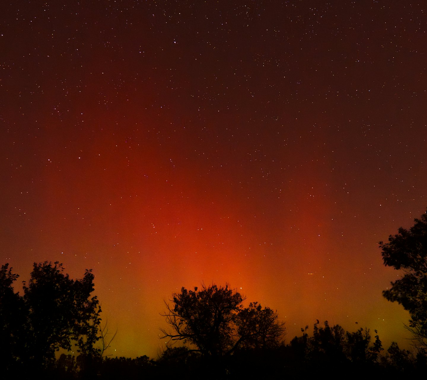 d1b7b73bf9b6438b4c21d77801986e5e96705675 - Jayne Hyduk Group