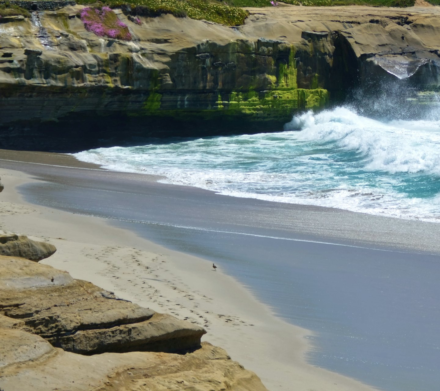 e33b78e8cf53e67674dfe41511d2d628082c3b58 - Jayne Hyduk Group