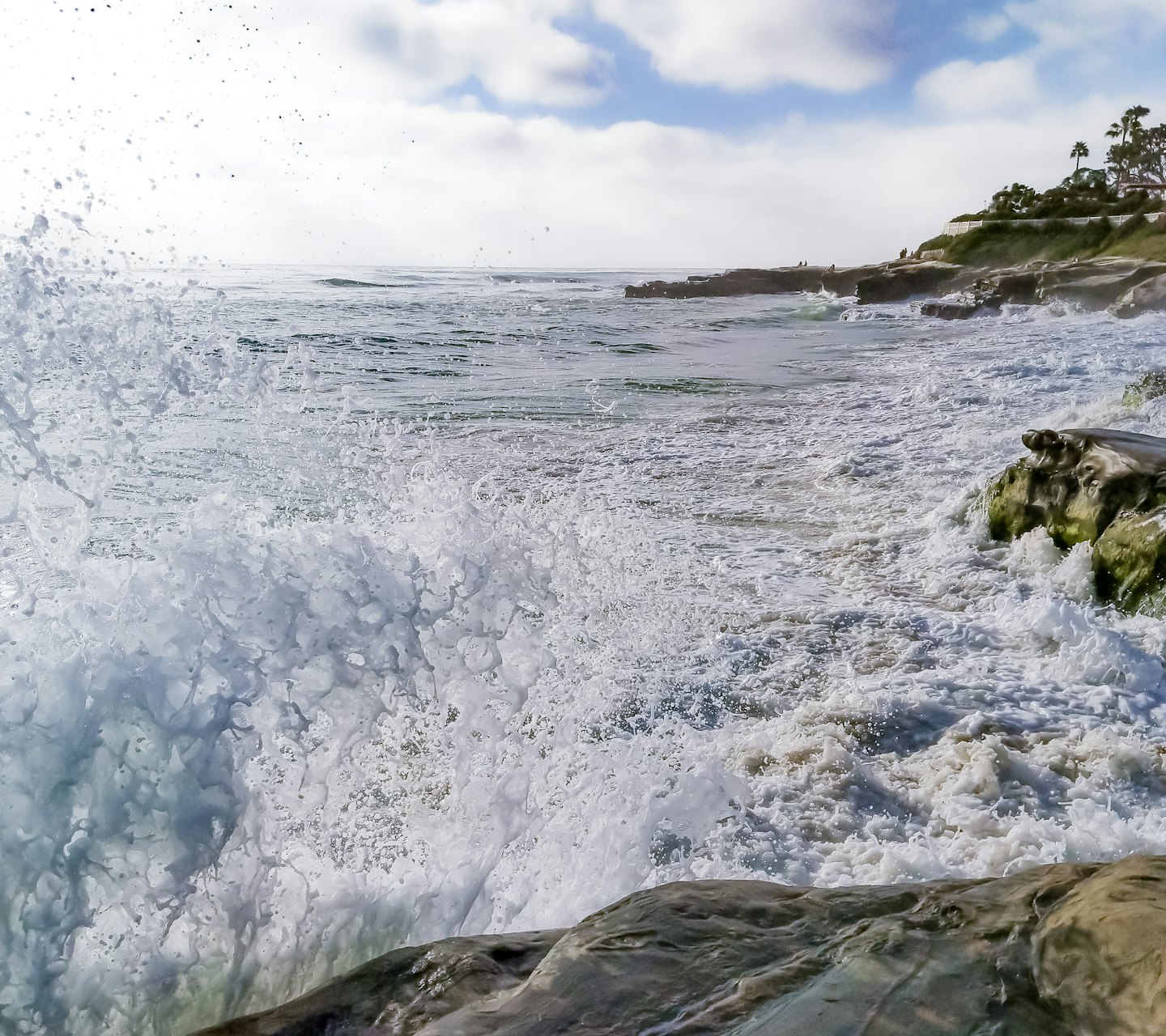 ed003c6715c8bba82d6c6e1f033410c8c2c4aa58 - Jayne Hyduk Group